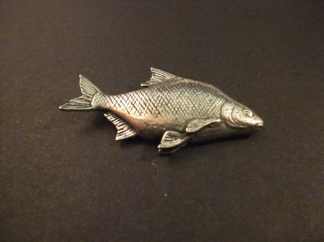 Brasem populaire vis voor de hengelsport.zilverkleurig
